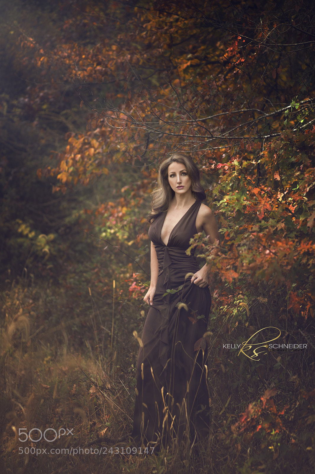 Nikon D4 sample photo. Autumn..... photography