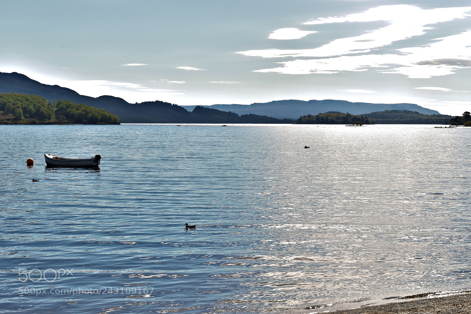 Nikon D5500 sample photo. Luss light photography