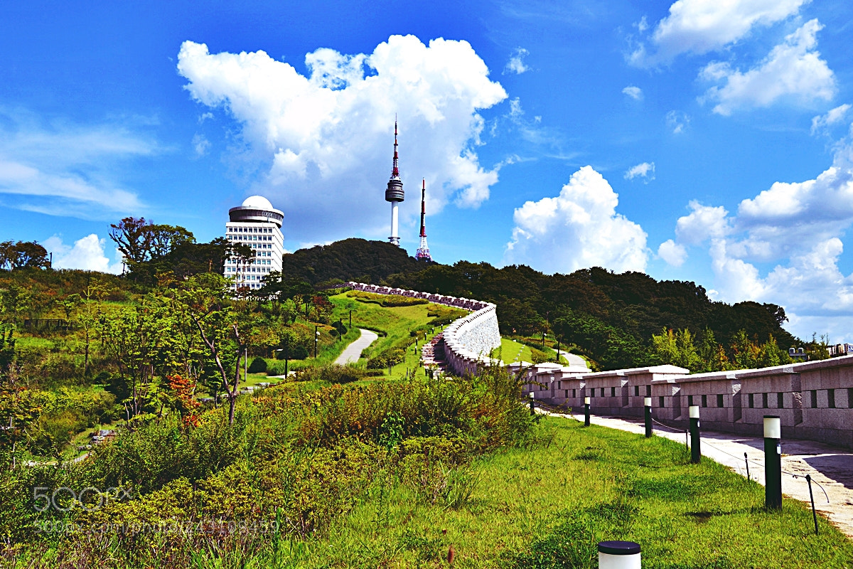 Nikon D3100 sample photo. Namsan tower photography