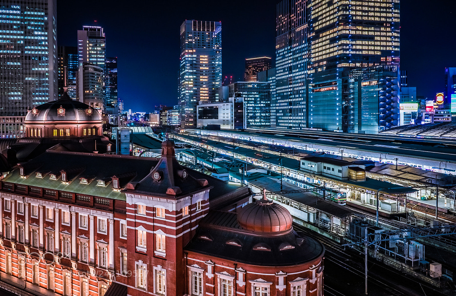 Sony a7 II sample photo. Tokyo station photography