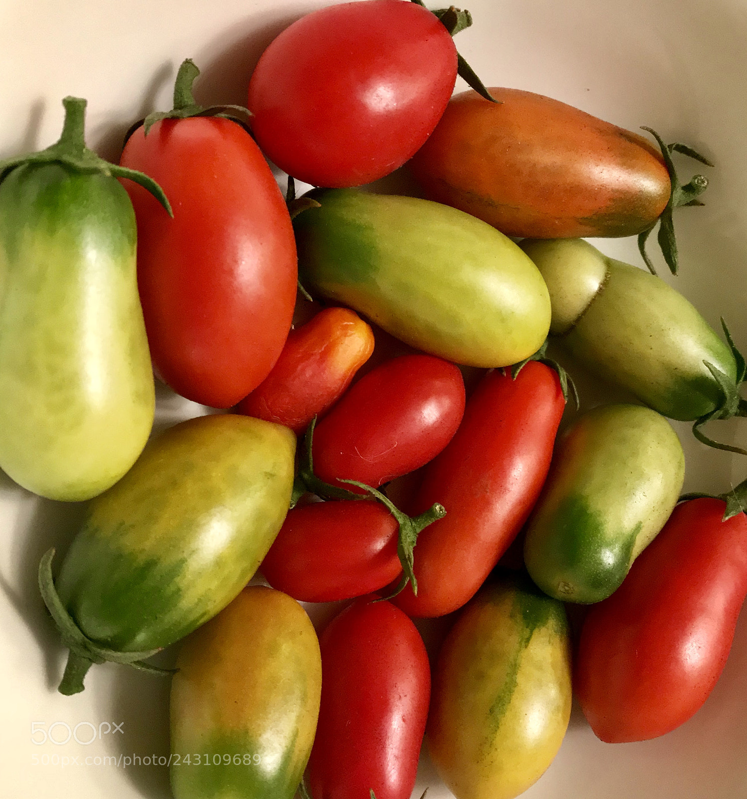 Apple iPhone 7 Plus sample photo. Tomatoes from my garden photography