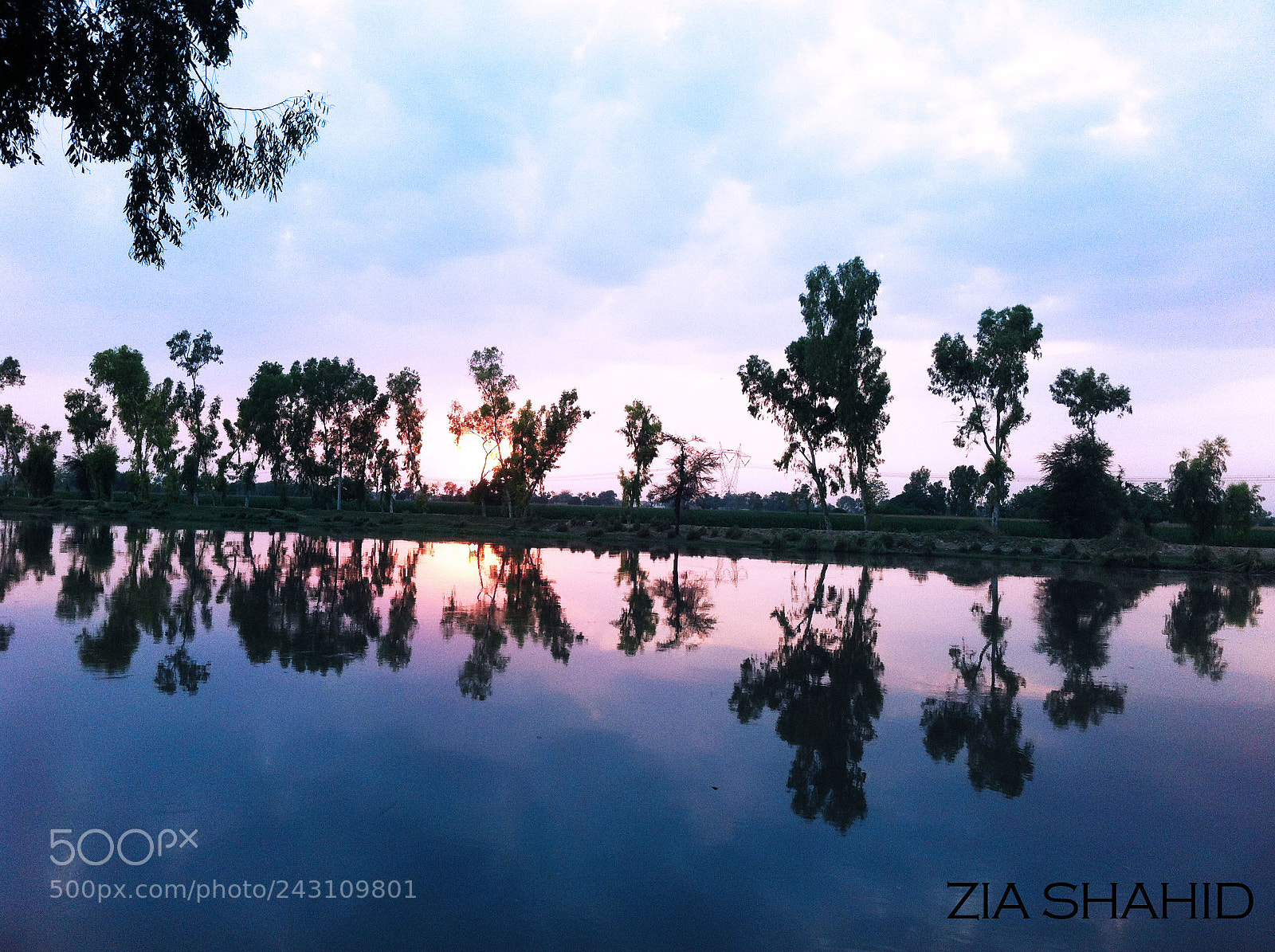 Apple iPhone 4 sample photo. #zyashoots #2k12 photography