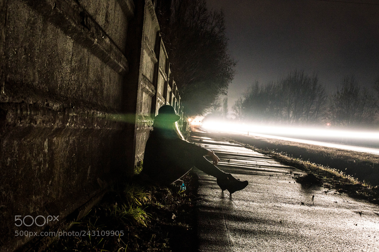 Nikon D3200 sample photo. Alone in the light photography