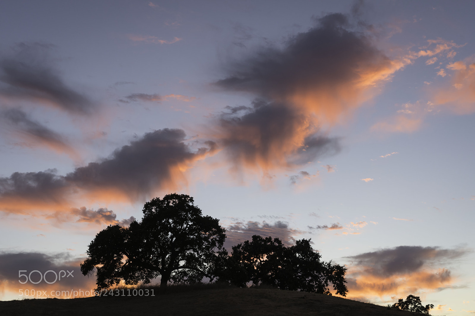 Sony a99 II sample photo. Sunset on camino tassajara photography