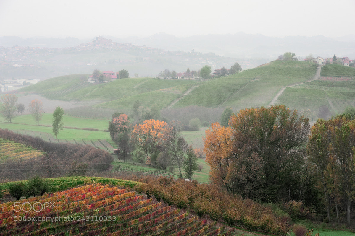 Nikon D700 sample photo. Langhe photography