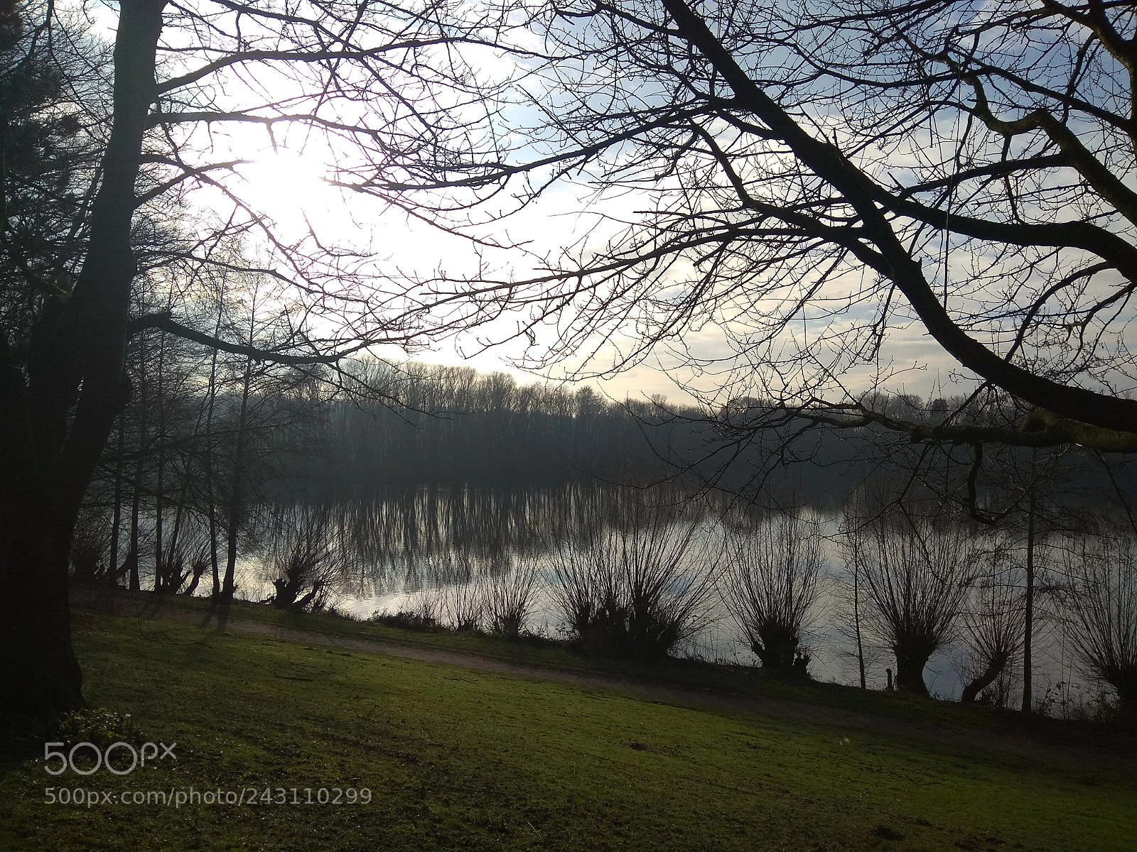 Xiaomi Redmi Note 4 sample photo. Untitled photography
