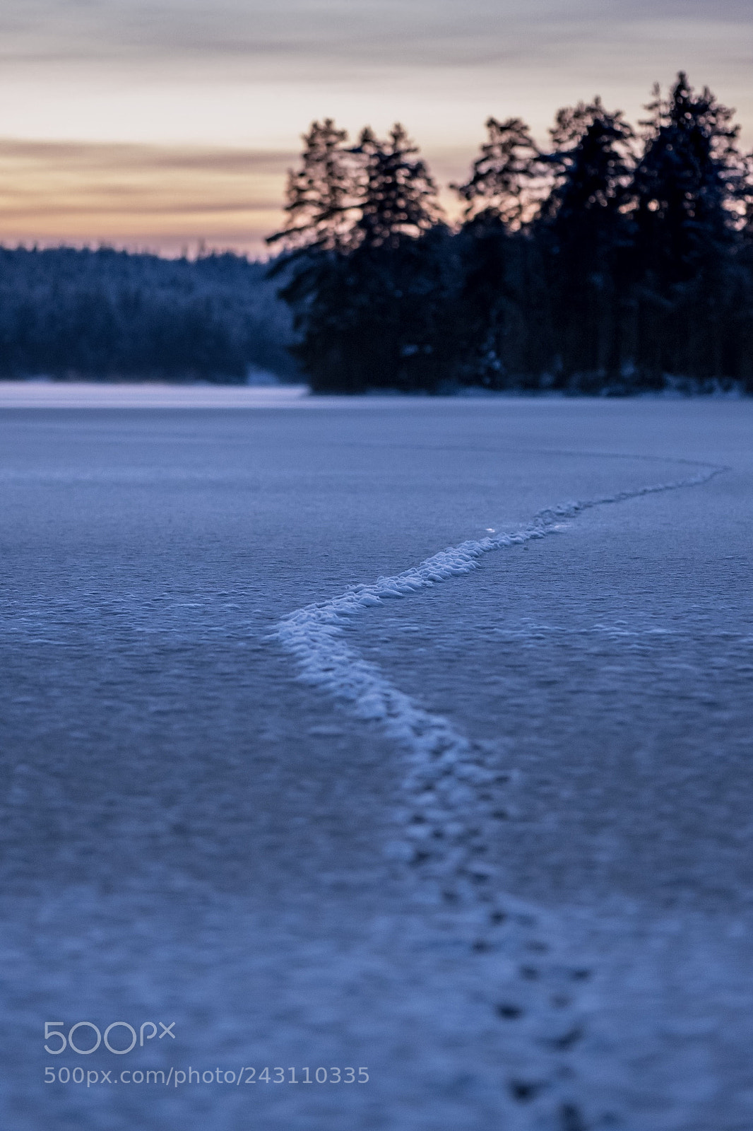 Fujifilm X-T20 sample photo. Follow the trail. photography