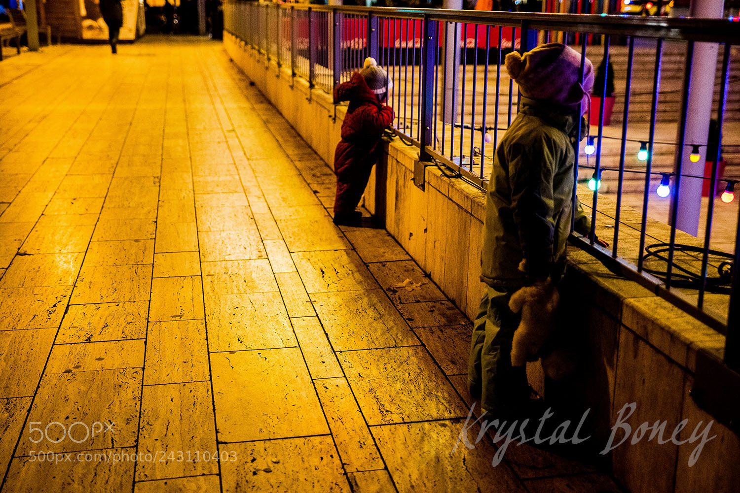 Nikon D810 sample photo. Untitled photography