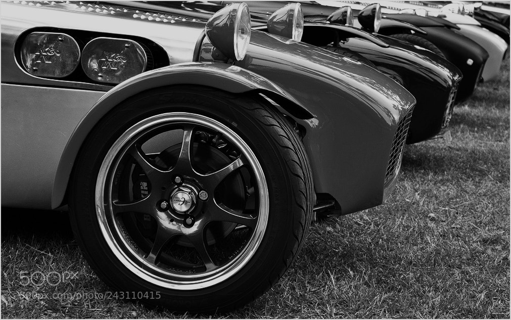 Nikon D90 sample photo. Ditto in mono photography