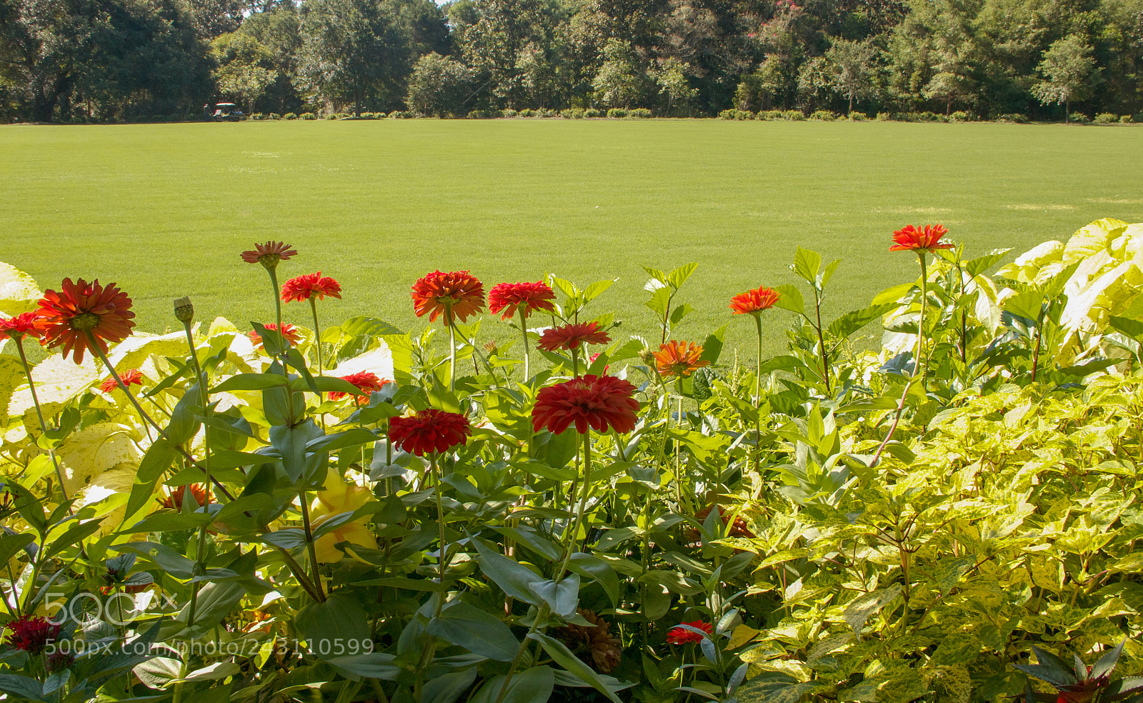 Canon EOS 550D (EOS Rebel T2i / EOS Kiss X4) sample photo. A garden view.... photography