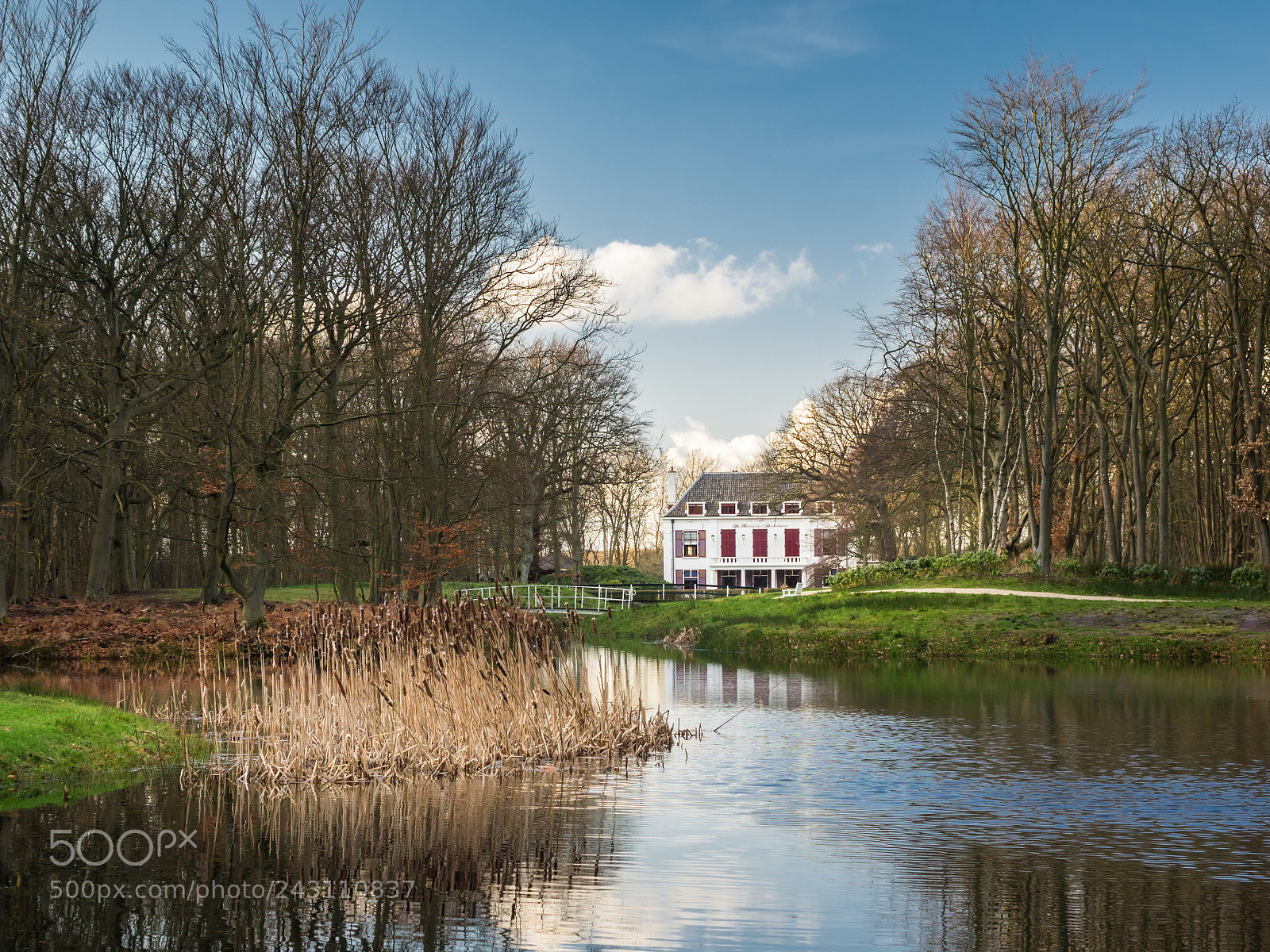 Sony Cyber-shot DSC-RX10 sample photo. Park leeuwenhorst photography