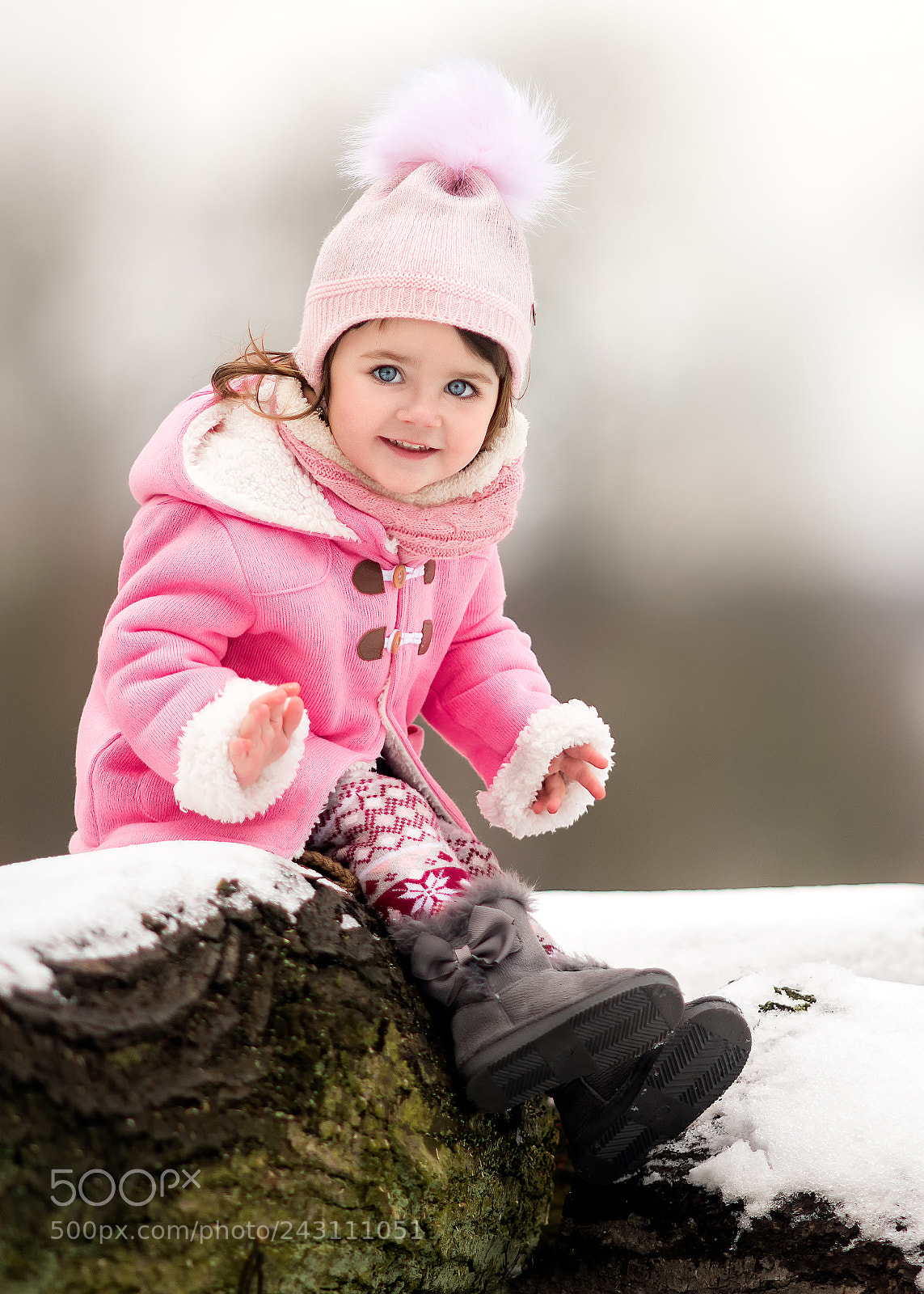 Nikon D810 sample photo. Winter pinks photography