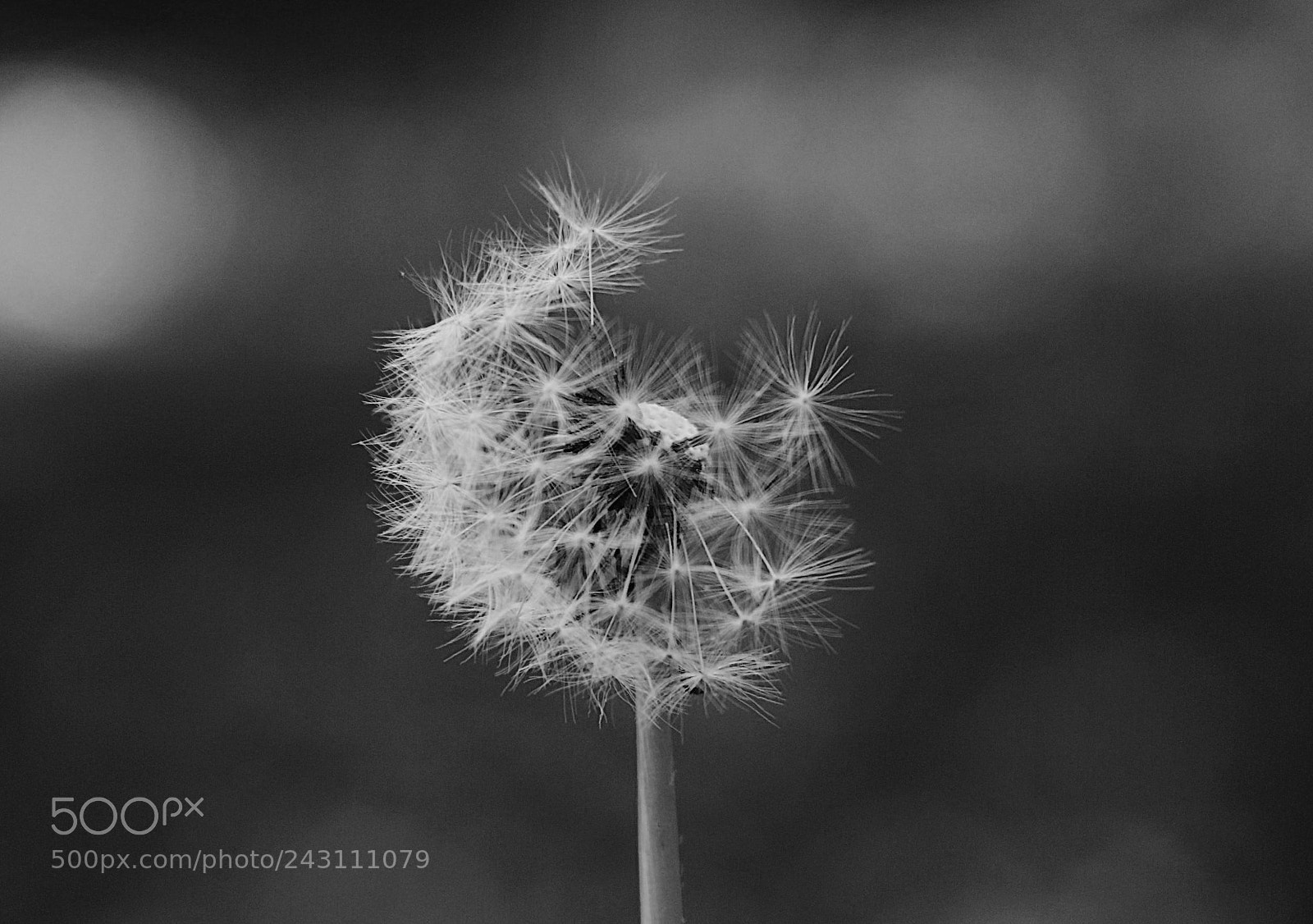 Canon EOS 60D sample photo. Untitled photography
