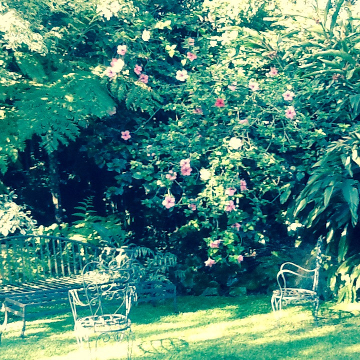 Apple iPad 2 sample photo. Garden photography