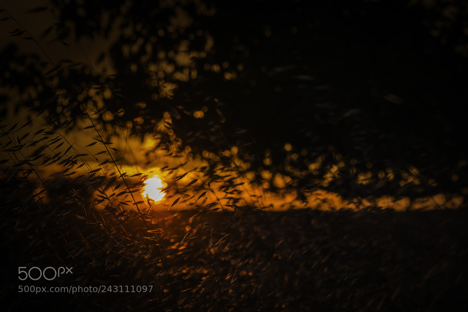 Nikon D7100 sample photo. Ma ana ser otro photography