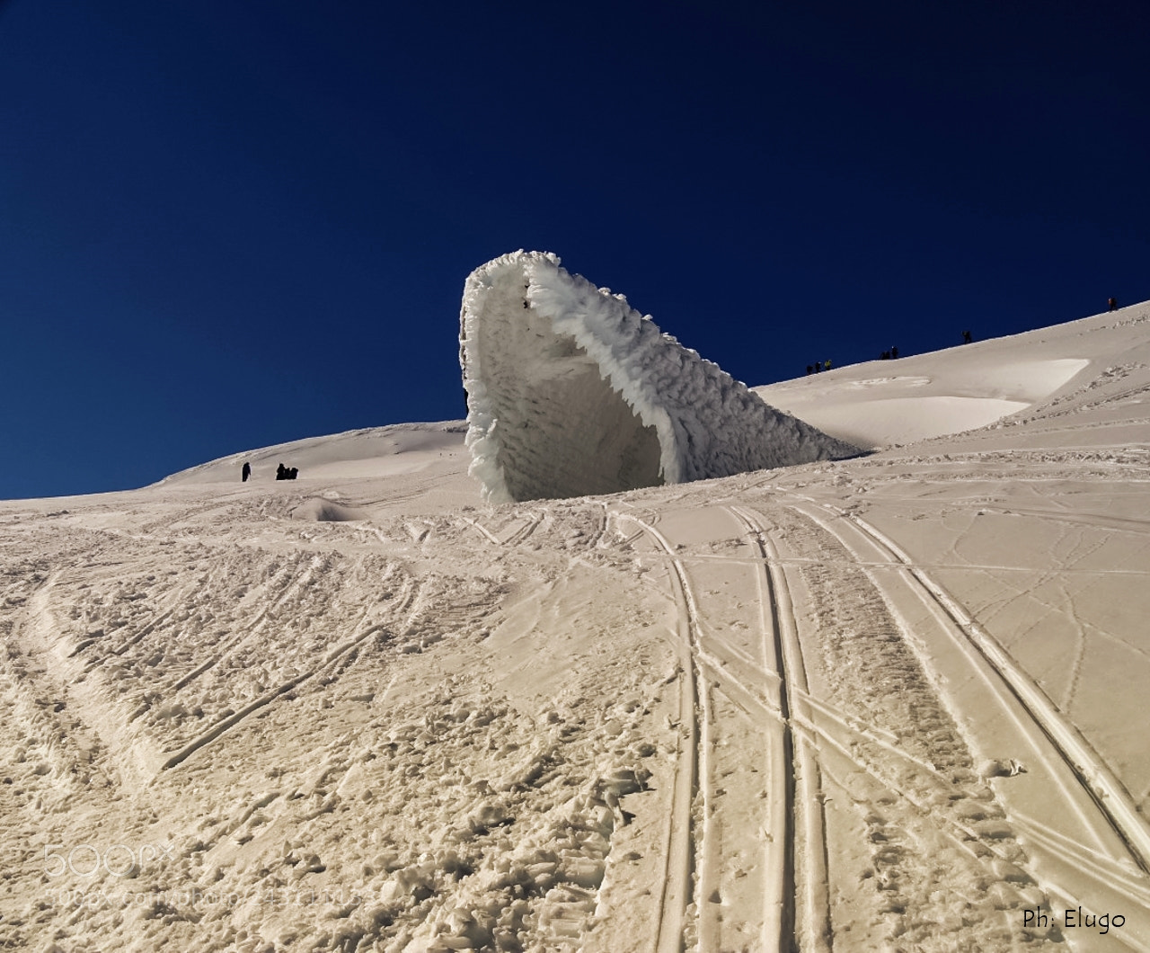 Sony Cyber-shot DSC-HX400V sample photo. Snow shark photography