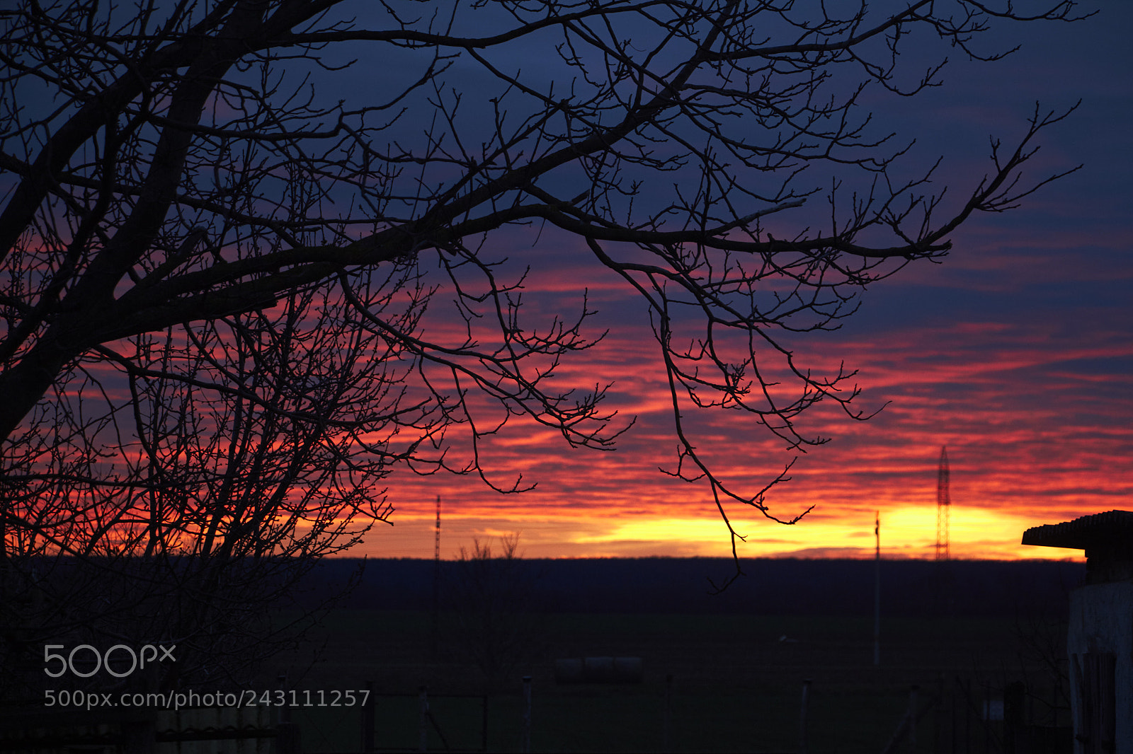 Canon EOS 650D (EOS Rebel T4i / EOS Kiss X6i) sample photo. Purple sunset photography