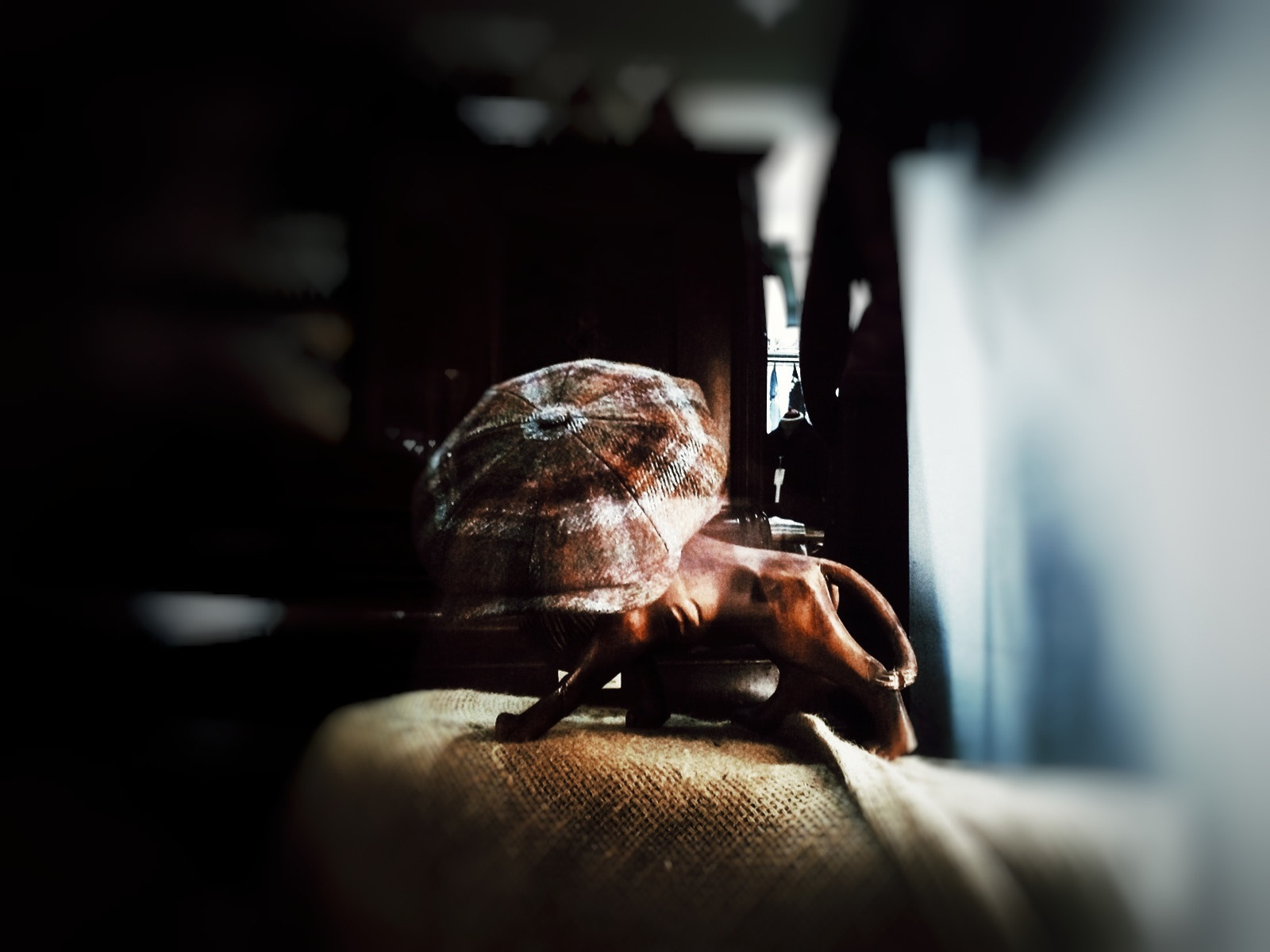 WIKO LENNY3 sample photo. Sɪʀ ʟɪᴏɴ photography