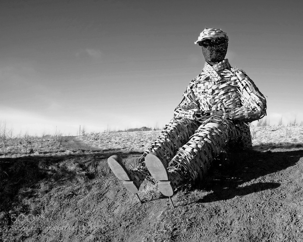 Fujifilm X-Pro1 sample photo. Wicker man in durham photography