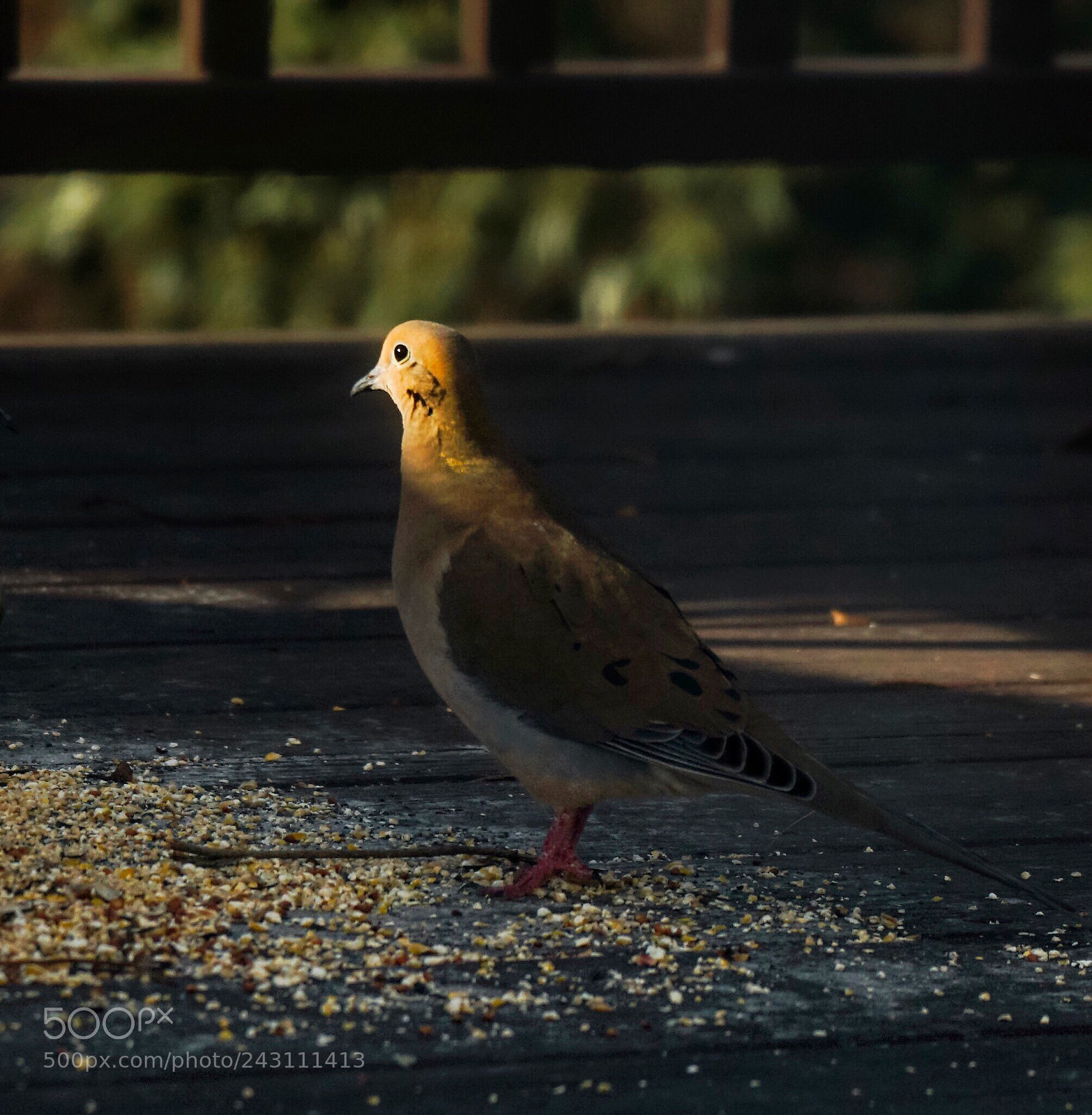 Sony a6300 sample photo. Amazing the amount of photography
