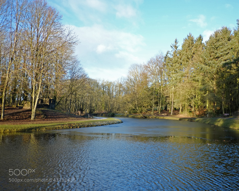 Fujifilm X-Pro1 sample photo. Hardwick park in sedgefield photography