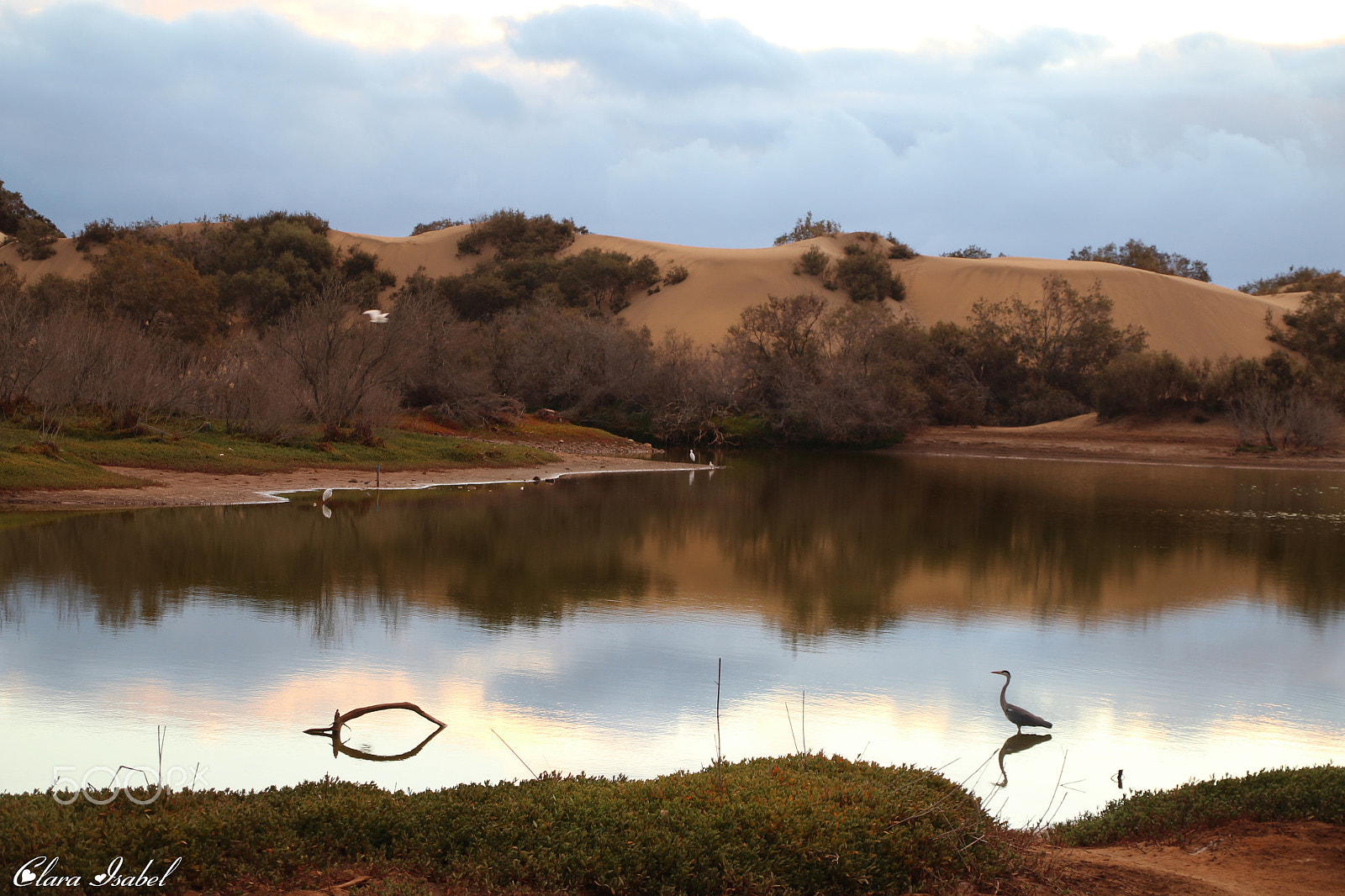 Canon TS-E 90mm F2.8 Tilt-Shift sample photo. Un bello amanecer... photography
