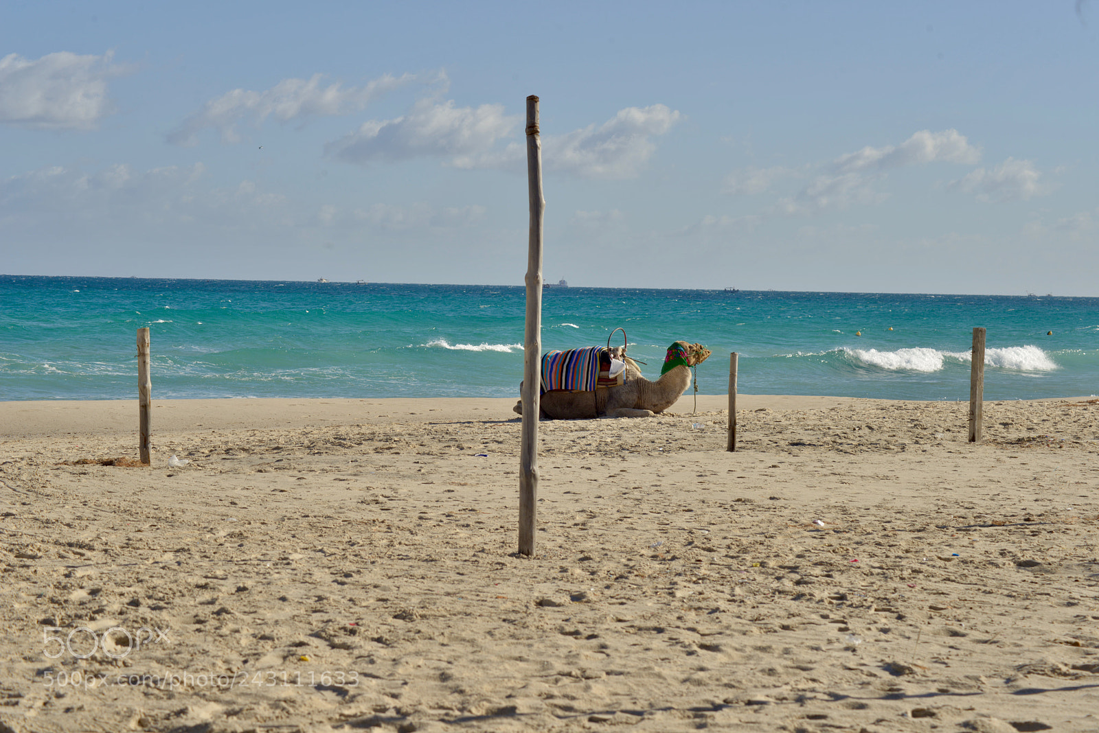 Nikon D800 sample photo. Untitled photography