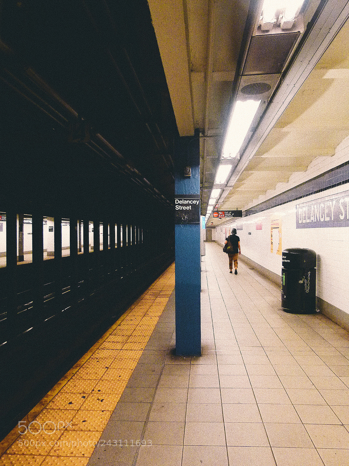 Panasonic Lumix DMC-FZ100 sample photo. Delancey photography