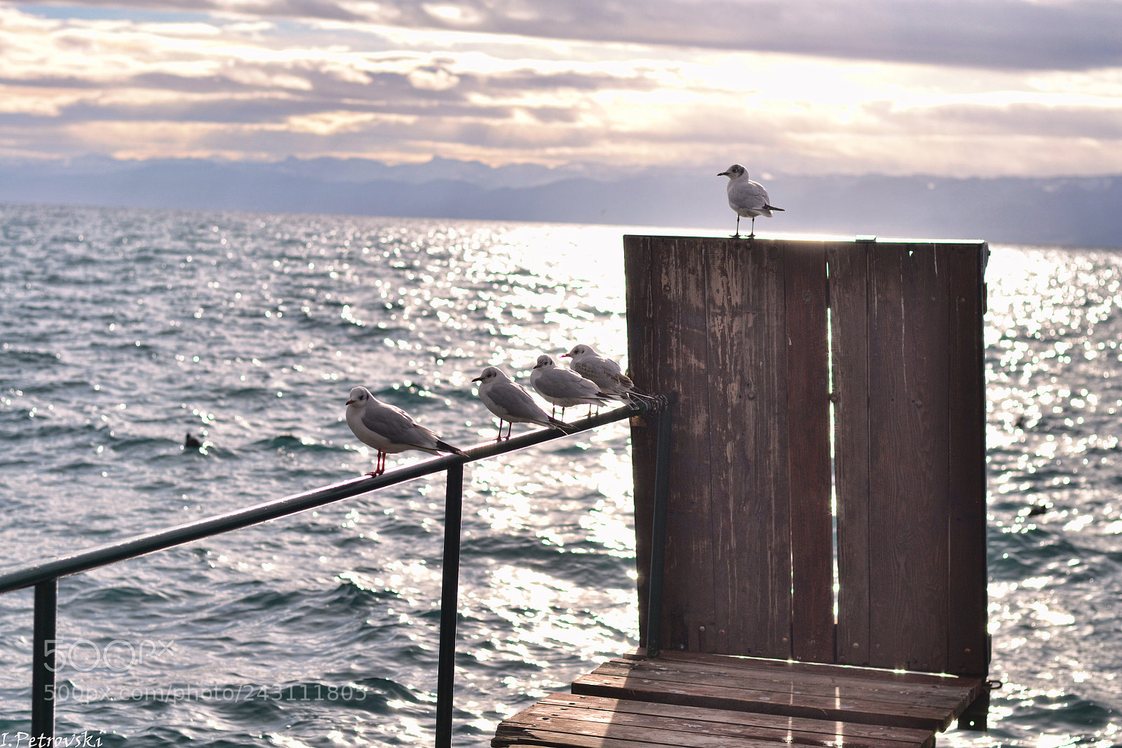 Nikon D3100 sample photo. Friends photography