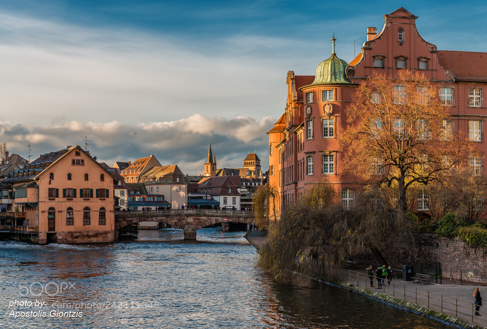 Nikon D800E sample photo. A sunny afternoon in photography
