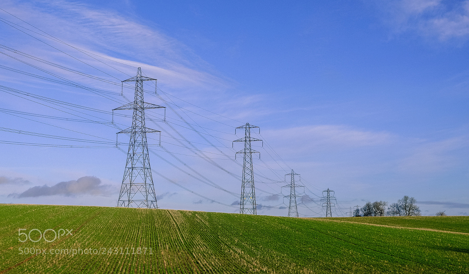 Fujifilm X-T10 sample photo. Voltage on green photography