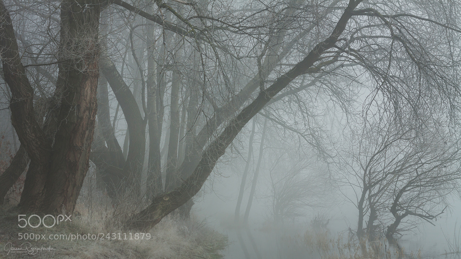 Canon EOS 50D sample photo. My paths photography