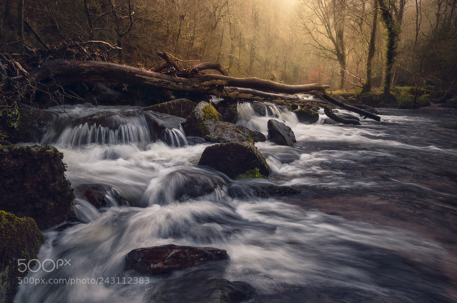 Nikon D3200 sample photo. Fingle cascades photography
