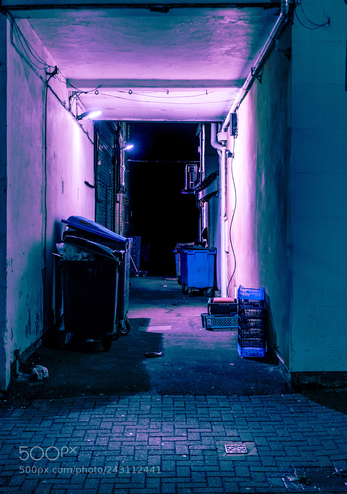 Sony a7 II sample photo. Taking out the trash! photography