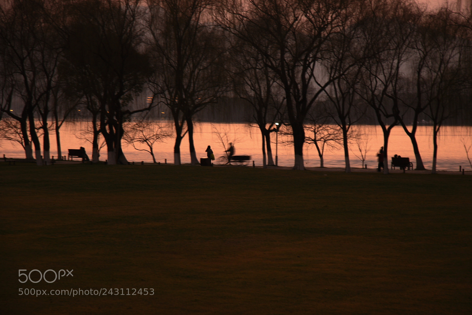 Canon EOS 30D sample photo. Mg photography