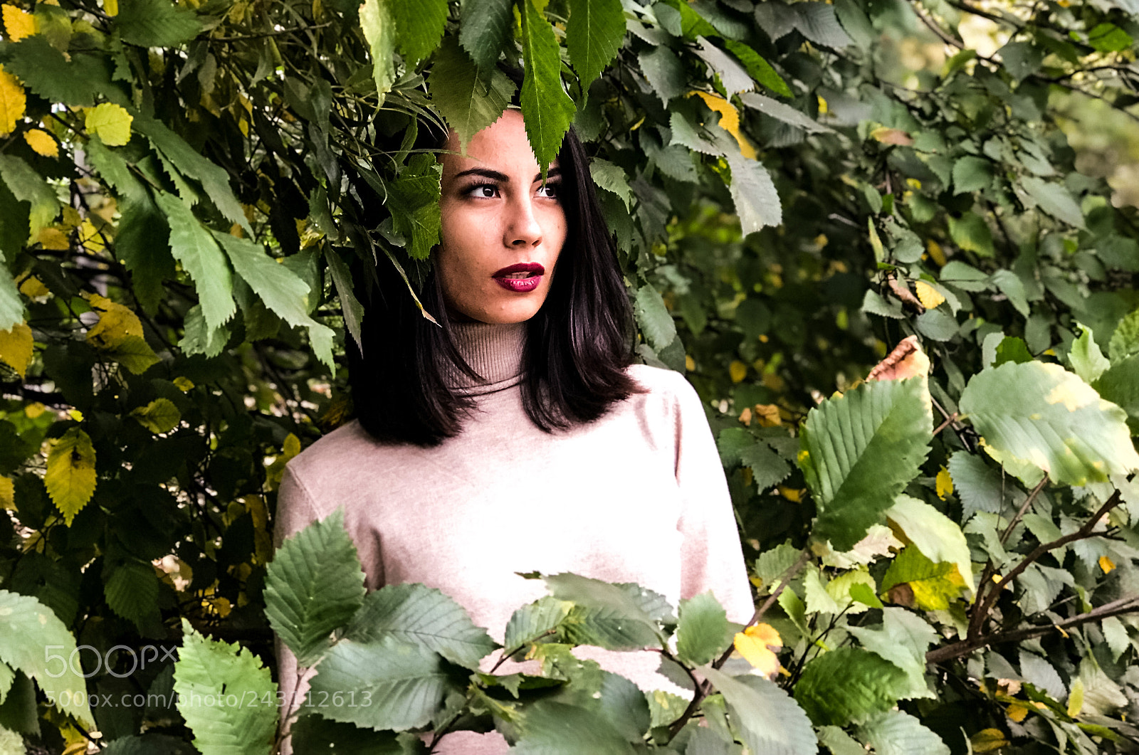 Apple iPhone 7 Plus sample photo. Untitled photography