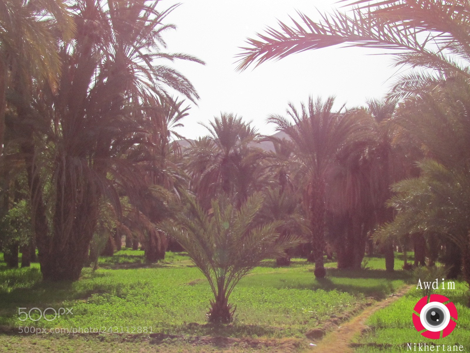 Canon PowerShot SX20 IS sample photo. Untitled photography