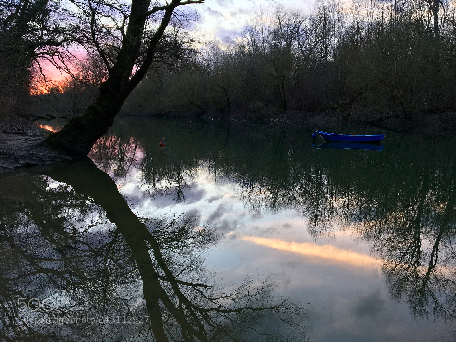 Apple iPhone 6s sample photo. Abendsonne im waldpark mannheim photography