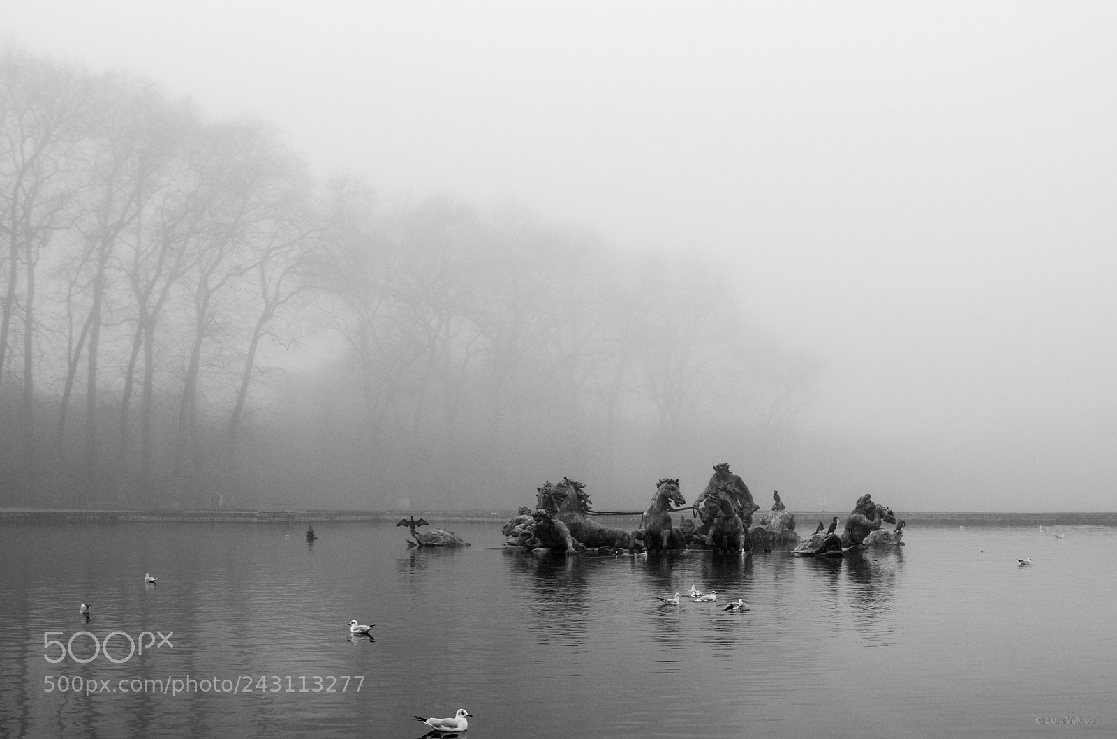 Pentax K-30 sample photo. Bassin d'apollon - ch photography