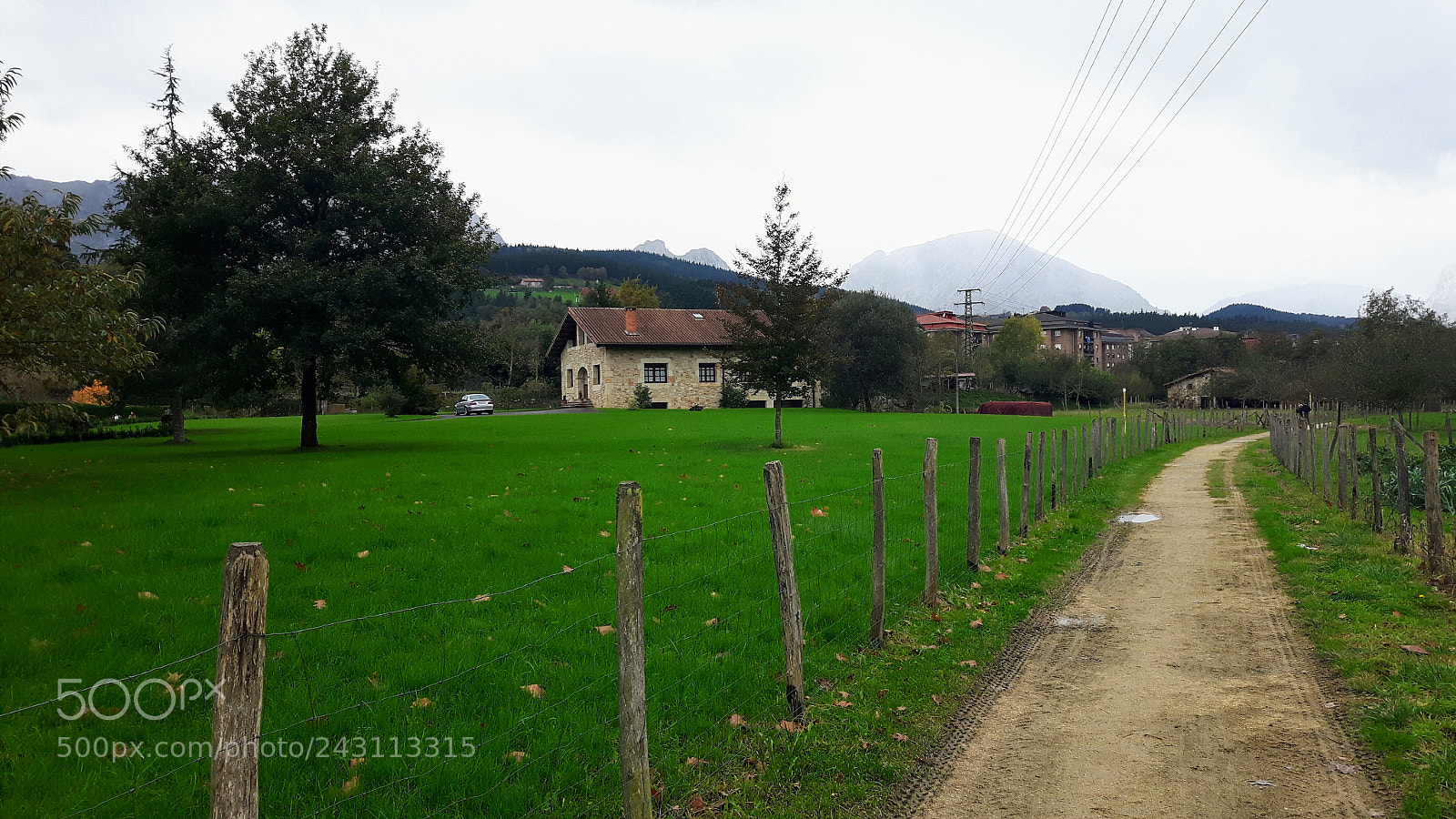 Samsung Galaxy S5 Neo sample photo. Baserria photography
