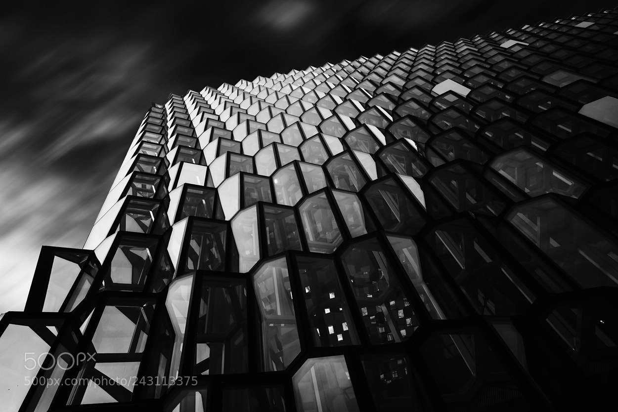 Nikon D800 sample photo. [ harpa ] photography