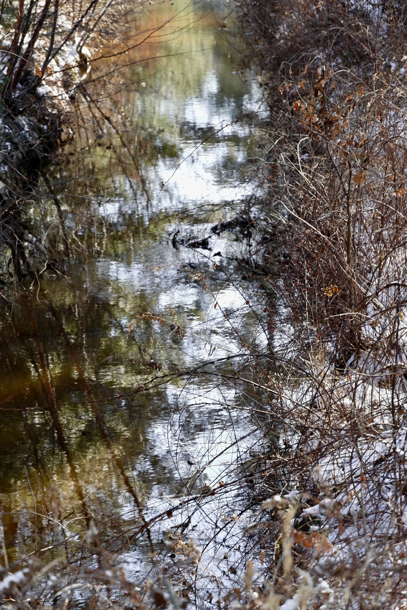 Leica TL2 sample photo. Stream relections photography