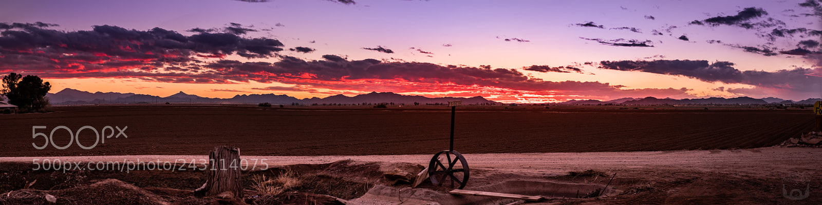 Nikon D500 sample photo. Maricopa, az - sunset photography