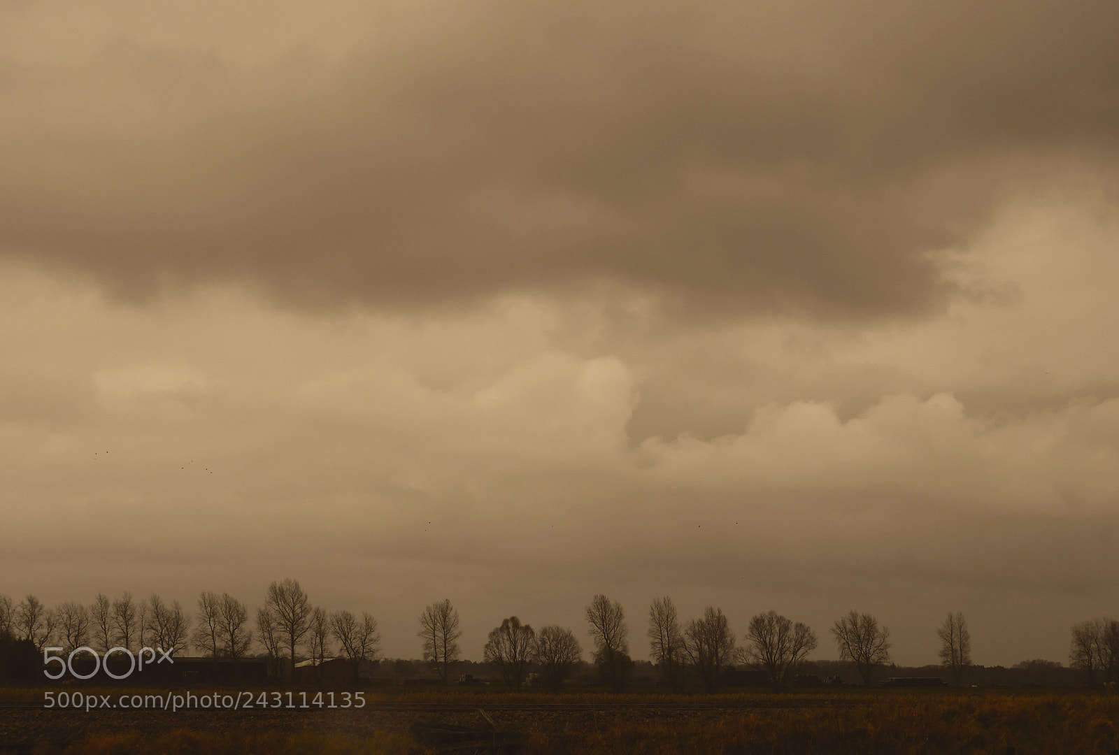 Nikon Coolpix B700 sample photo. Lakenheath fen nature reserve photography