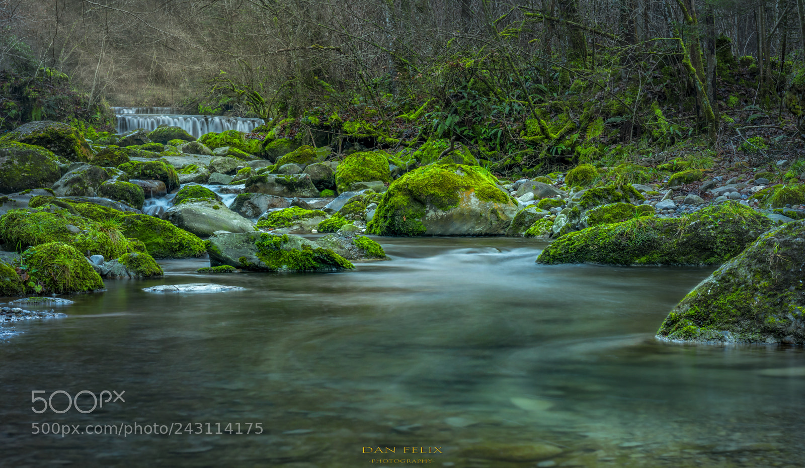 Nikon D810 sample photo. Wild nature photography