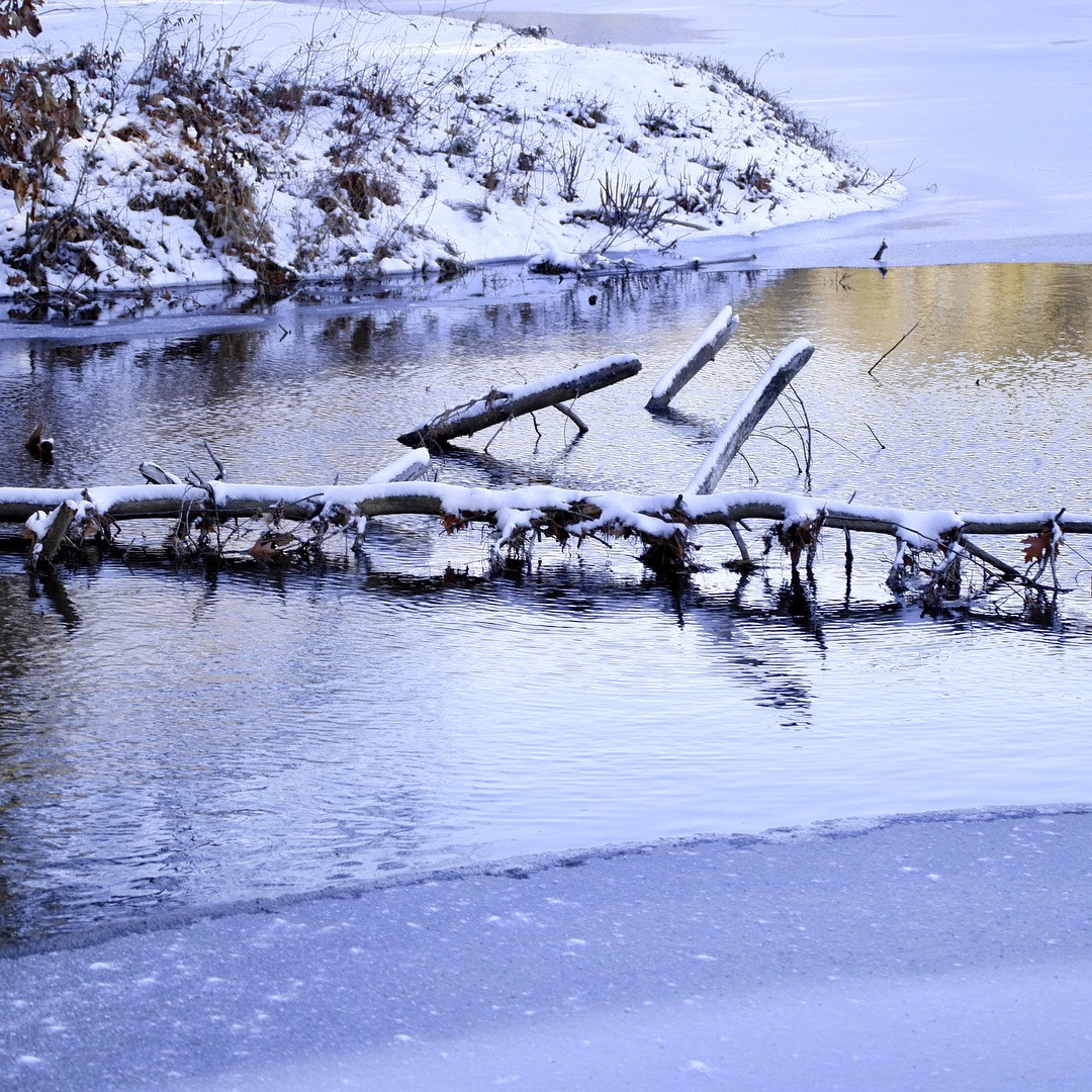 Leica TL2 sample photo. Winter oce photography