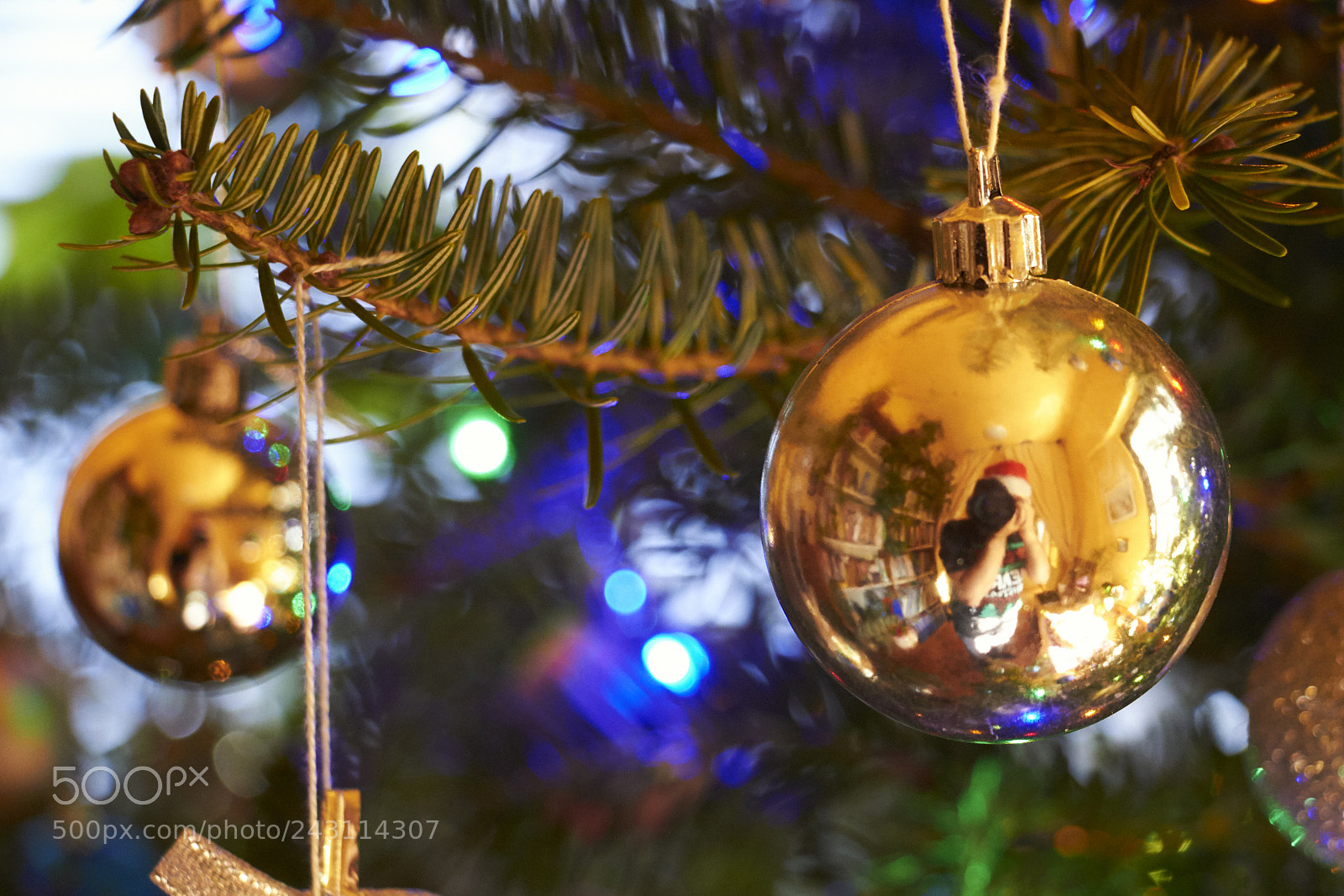 Canon EOS 650D (EOS Rebel T4i / EOS Kiss X6i) sample photo. Christmas self-portrait photography