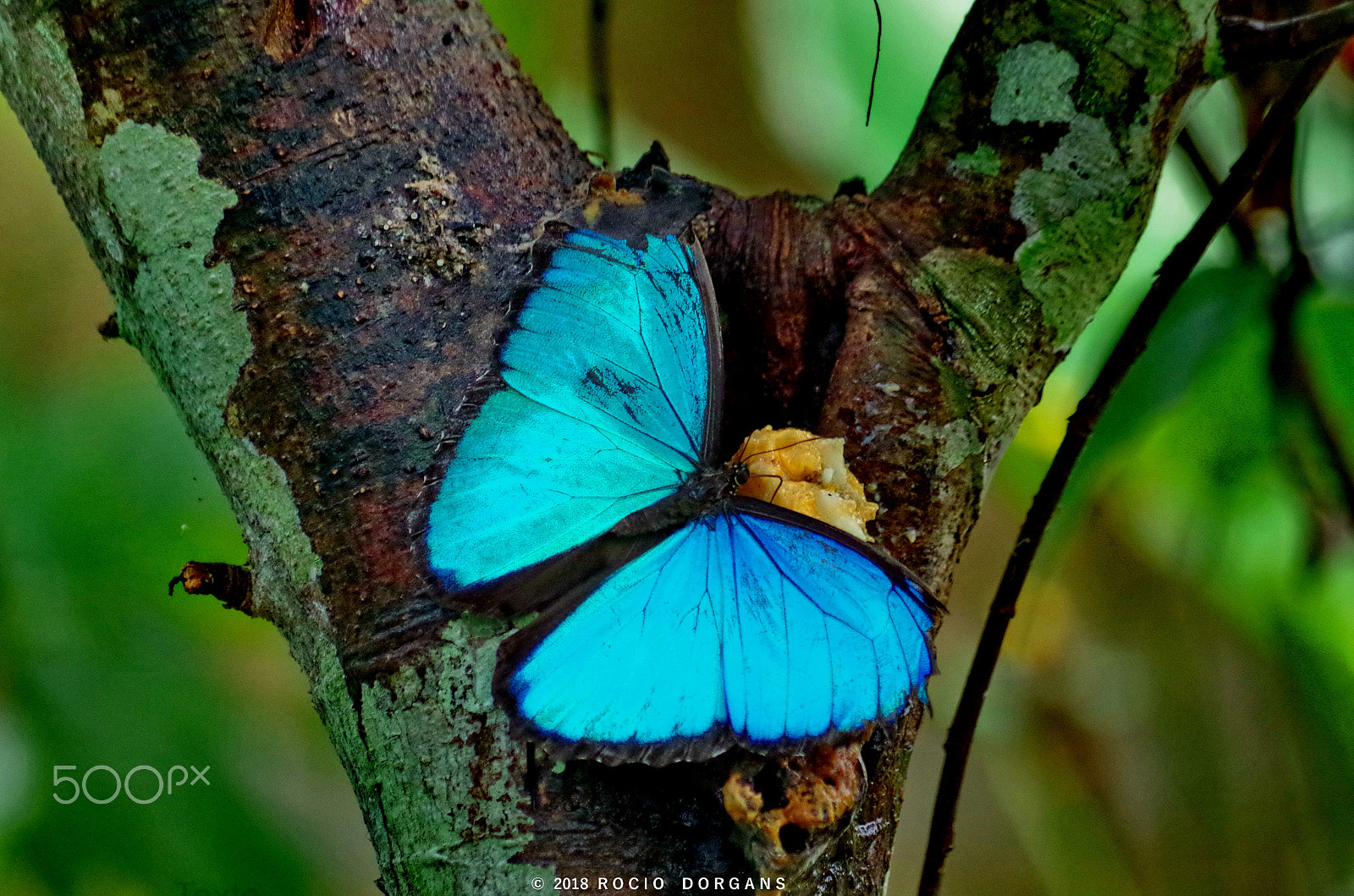 Pentax K-30 sample photo. Iquitos - peru photography