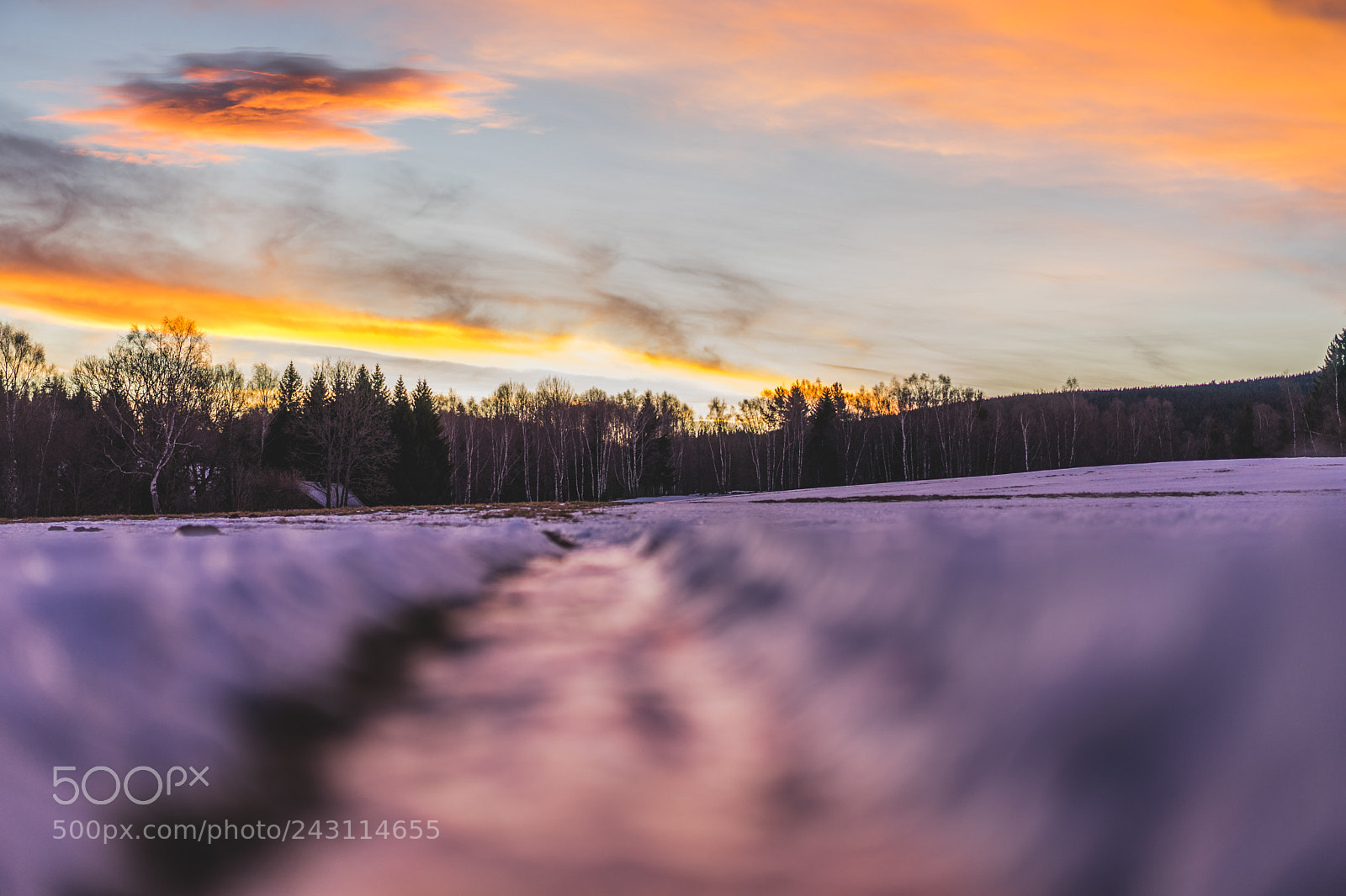 Sony a7 sample photo. Frozen morning road photography