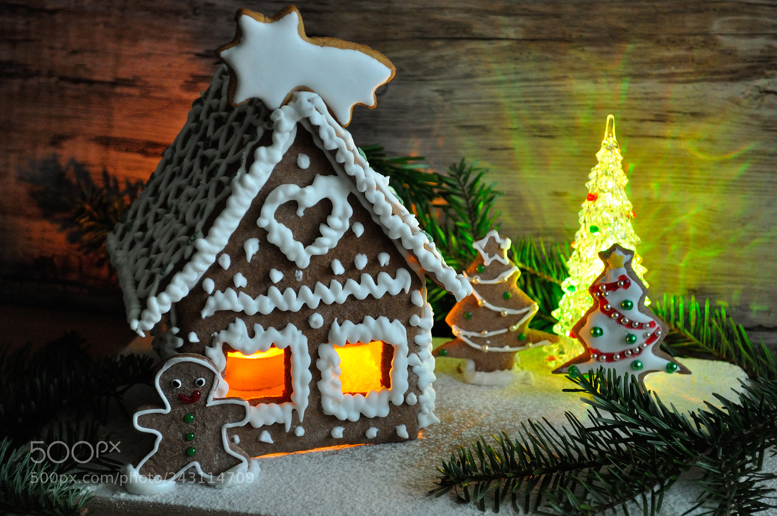 Nikon D5000 sample photo. Gingerbread house photography